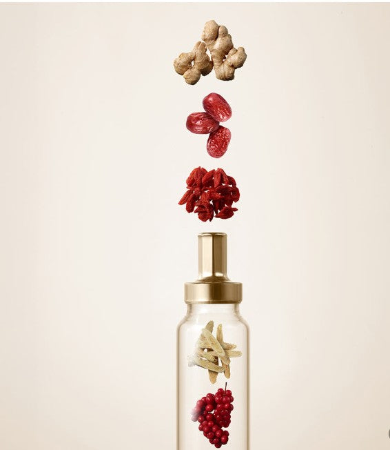 Vital Tonic Gift Set Box 10-Bottle set or 16 bottle set Korean Red Ginseng - CheongKwanJang