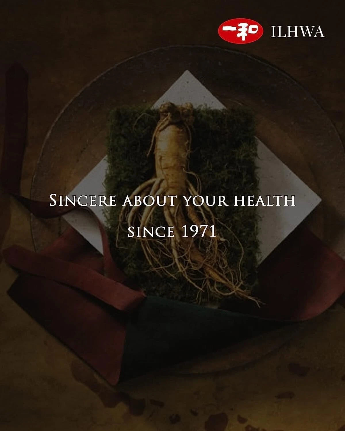 ILHWA 100% Korean 6 year Ginseng Extract~100g Ginsenoside 45mg/3g/a day