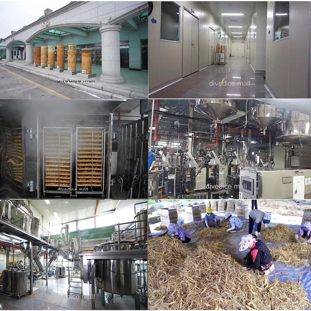 Korean 6 Year Red Ginseng Root Slice Case 20g x 10packs  1 box