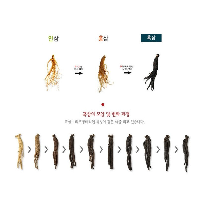 [Dongjin Pharmaceutical] Korean Black Ginseng 240g x 1 bottle or 240g x 2 bottle  Gift Set improving immunity